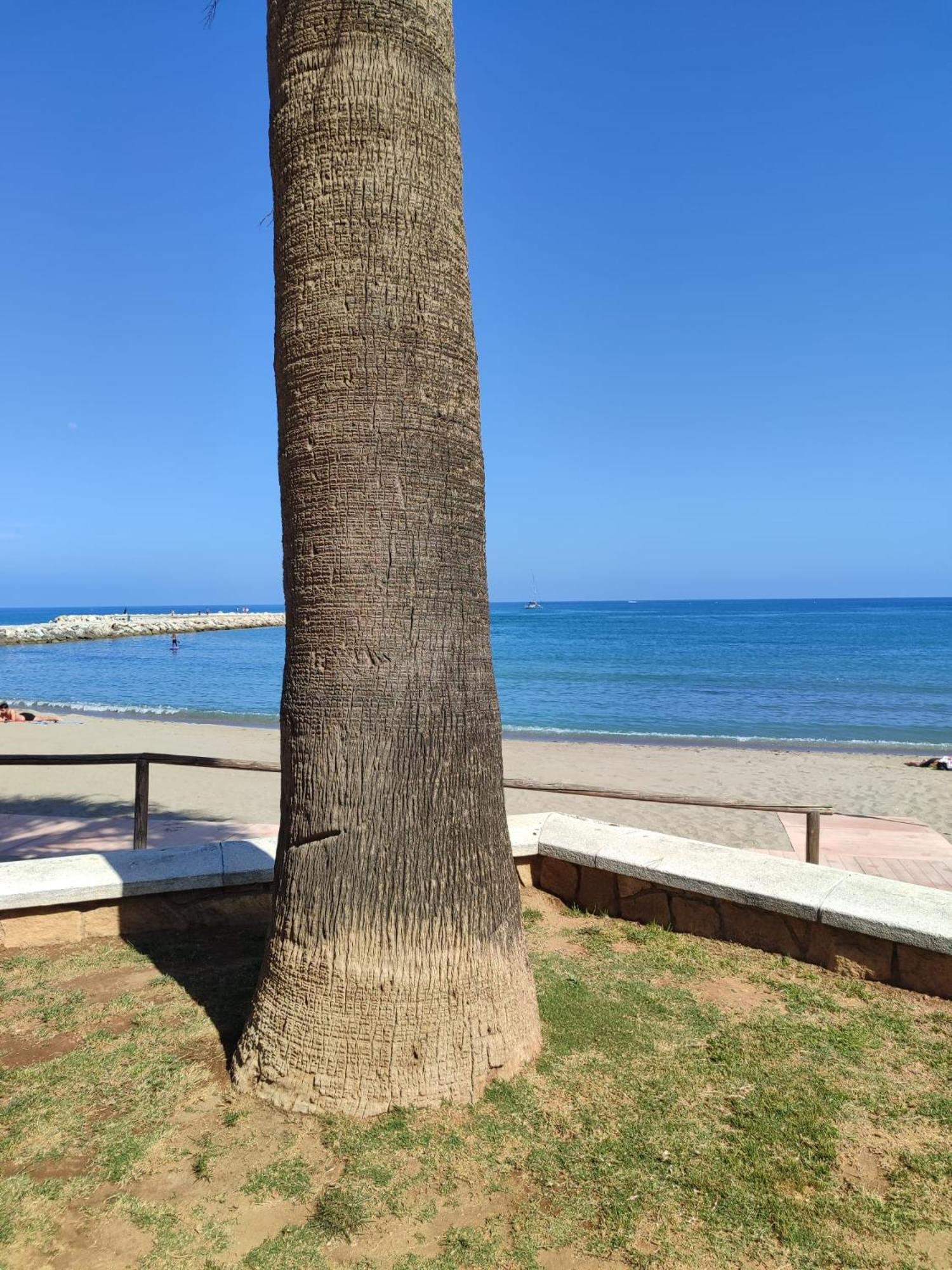 Fuengirola Reyes Beach Exterior foto